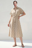 Khaki Polka Dots A Midi Work Dress Round z kołnierzykiem