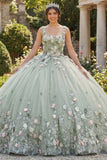 Sukienka z quinceañera z kwadratowym dekoltem, w kolorze dusty sage Sage Floral