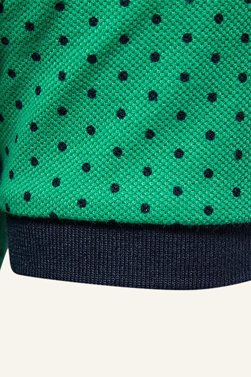 Załaduj obraz do przeglądarki galerii, Klasyczna Zielona Męska Koszulka Polo W Kropki O Regularnym Kroju Z Kołnierzykiem