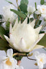 Załaduj obraz do przeglądarki galerii, Mori White Hand Holding Bukiet Kwiatów
