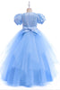 Załaduj obraz do przeglądarki galerii, Tiulowe bufiaste rękawy Jasnoniebieska sukienka Flower Girl z aplikacjami