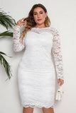 Biała koronkowa sukienka midi Bodycon Plus Size Z Długimi Rękawami