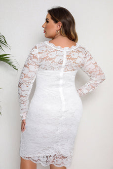 Biała koronkowa sukienka midi Bodycon Plus Size Z Długimi Rękawami