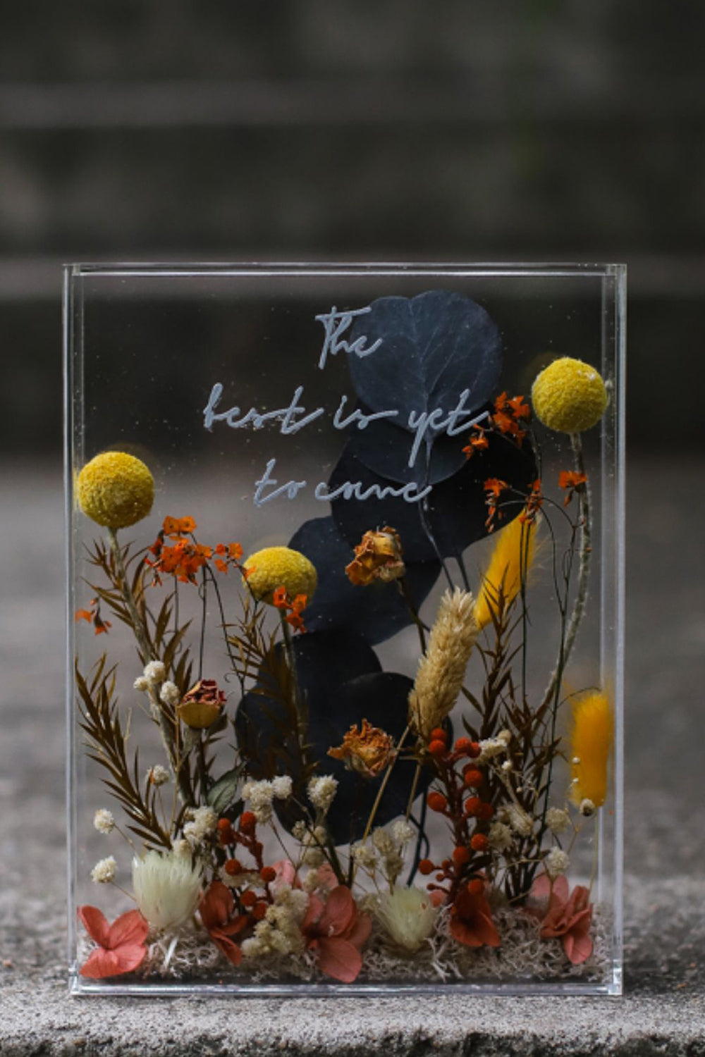 Akrylowa ramka na zdjęcia Nieśmiertelny Kwiat