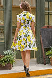 Vintage print 1950 Swing Dress